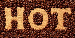 咖啡豆的規格與等級 咖啡基礎常識
