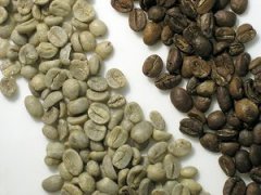 哥倫比亞咖啡 精品咖啡豆基礎常識