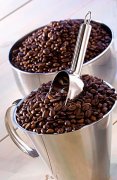 生咖啡豆的手工檢驗  參考產地和等級劃分