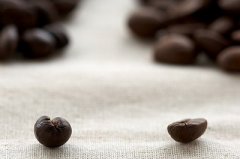 有趣的咖啡豆知識 豆豆分雌雄