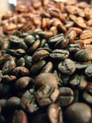 雲南小粒咖啡 咖啡的起源