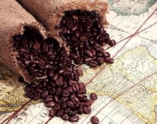 如何判斷咖啡豆的好壞 外形的判斷