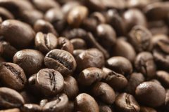 咖啡豆成分詳細分析 精品咖啡基礎常識