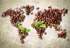 咖啡文化常識 咖啡對人類的“侵略史”一