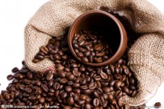 決定咖啡的品質關鍵 在於咖啡生豆