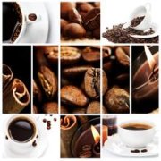 最常見到的咖啡四個種類 咖啡常識