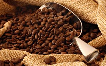 雲南開通中歐國際貨運班列 首趟起運2050噸咖啡