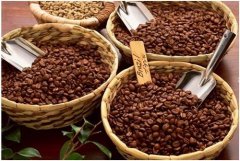 咖啡消費持續增長 上海欲打造亞洲最大咖啡交易市場