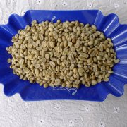 埃塞俄比亞日曬耶佳雪菲咖啡熟豆 沃卡合作社阿利姆小農耶加雪啡