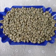 肯尼亞卡露雅莊園AA級咖啡熟豆 Kenya穆拉雅鎮水洗處理下單烘焙