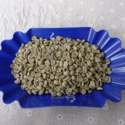 巴拿馬FST聖特雷莎莊園精品咖啡豆 進口咖啡熟豆下單自家烘焙研磨