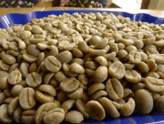 巴西波旁咖啡粉咖啡熟豆 新鮮烘焙半日曬南米納斯波旁咖啡豆