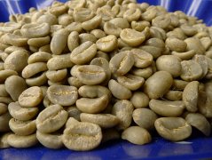 危地馬拉安提瓜火山區水洗處理SHB精品咖啡熟豆 自家烘焙咖啡豆