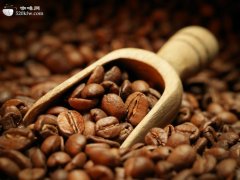 危地馬拉咖啡豆 世界上品質最佳咖啡