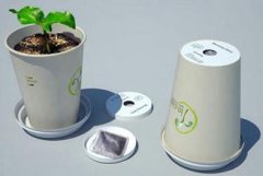 咖啡杯再利用 變身環保花盆