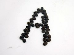 如何才能選擇到上好的咖啡豆