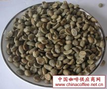 各國咖啡豆圖片 精品咖啡豆基礎常識