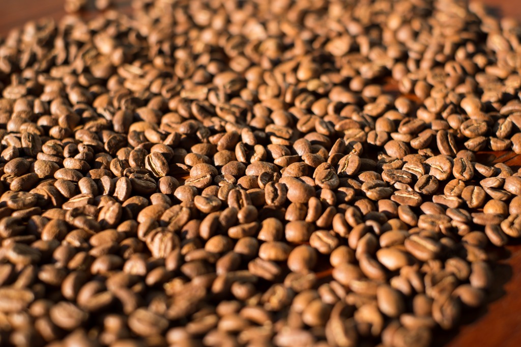 尼加拉瓜咖啡出口量及出口額雙雙上揚
