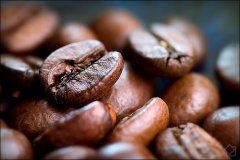 比較有名的咖啡豆有哪些？ 藍山咖啡