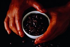 咖啡的家庭做法及禁忌 咖啡營養分析