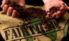 新型公平貿易 Relation Coffees咖啡豆商