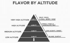海拔對咖啡品質和風味的影響 爲什麼海拔越高越好？