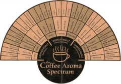 如何分辨咖啡香氣特徵 精品咖啡學咖啡基礎常識