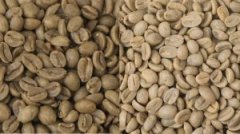 咖啡酸味的由來和形成 咖啡的酸味背後是一個很複雜的問題
