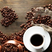 咖啡的起源 世界上第一株咖啡樹