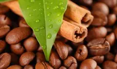 分析我國進出口咖啡行業政策 咖啡豆進口的流程