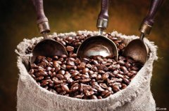 解讀不同種類咖啡豆的特點 咖啡是熱帶的產物