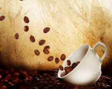 從咖啡豆到一杯咖啡的過程