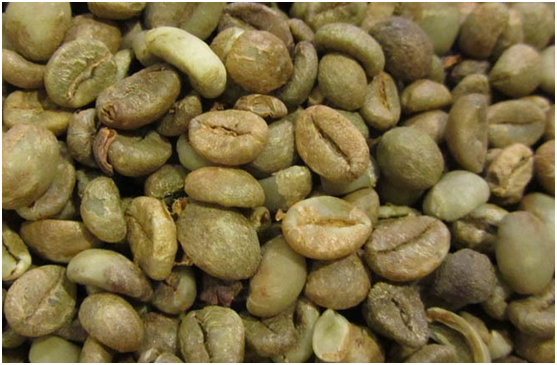 越南咖啡產量預計比計劃下降兩成