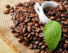重新認識咖啡 曾經被誤解的咖啡與咖啡因
