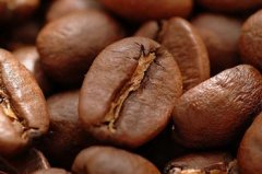 如何判斷咖啡豆的新鮮程度 聞、看、剝