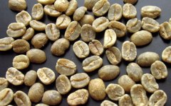 哥倫比亞SUPREMO級咖啡生豆