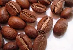 精選水洗皇家羅布斯塔咖啡豆 Kaapi Royal