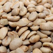 咖啡品種介紹：埃塞俄比亞哈拉爾(Harar)