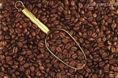 怎樣用振動篩挑選咖啡豆？ 挑豆的技巧是什麼？