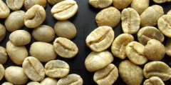 咖啡生豆：新豆、舊豆之分 生豆的主要成分爲