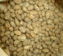 印尼國寶級咖啡豆託那加（Toraja）