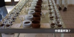 什麼是咖啡杯測 總體性地判斷咖啡的風味