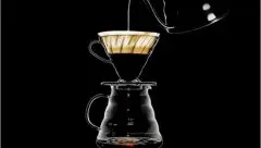 SCAA美國精品咖啡協會 咖啡沖泡黃金水粉比例