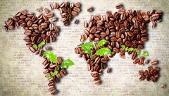 咖啡的產地及風味特點 品嚐咖啡的術語