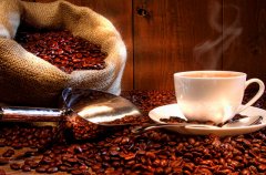 好咖啡從豆開始 非常受咖啡師歡迎的咖啡豆
