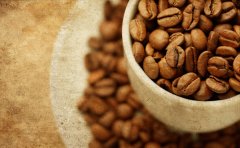 藍山咖啡儲存是要避免什麼？ 咖啡豆常識