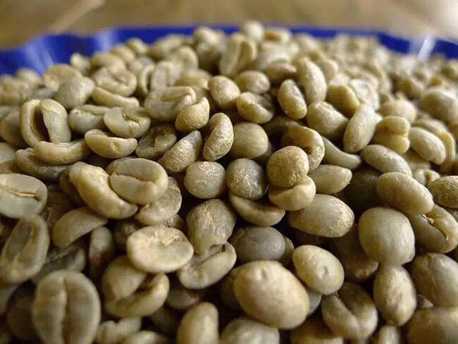 我國首個咖啡豆檢驗檢疫行業標準發佈