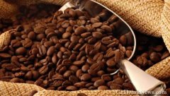 印度尼西亞的咖啡 亞洲區出產最好的咖啡