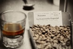 咖啡豆的基礎常識 什麼是平豆、圓豆、象豆？