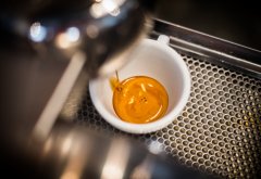 什麼是Crema 意式咖啡的基礎常識咖啡油脂是什麼？